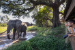 Afrique du Sud - Manyeleti Private Game Reserve - Tintswalo Safari Lodge