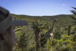 Afrique du Sud - Oudtshoorn - Buffelsdrift Game Lodge - Safari