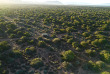 Afrique du Sud - Oudtshoorn - Buffelsdrift Game Lodge - Safari