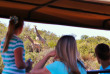 Afrique du Sud - Oudtshoorn - Buffelsdrift Game Lodge