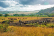 Afrique du Sud - Parc national Hluhluwe Imfolozi- ©Shutterstock, Lukasz Nycz