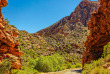 Afrique du Sud - Oudtshoorn - Col de Swartberg