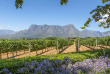 Afrique du Sud - La Route des Vins - ©Shutterstock, Quality Master