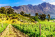 Afrique du Sud - La Route des Vins - ©Shutterstock, Harry Beugelink