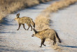 Botswana - Safari guidé en bivouac - Bush Ways Safaris