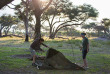 Botswana - safari guidé en bivouac - Bush Ways Safaris