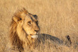 Botswana - Safari guidé en bivouac  - Bush Ways Safaris