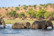Botswana - Safari guidé en camping version charme (fully serviced) de Maun à Kasane
