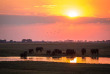 Botswana - Safari Guidé en lodge de Maun à Victoria Falls