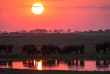 Botswana - Safari guidé en hôtel