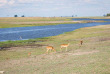 Botswana - Safari guidé en camping version charme (fully serviced) de Maun à Kasane