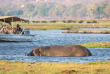 Botswana - Safari guidé en camping version charme (fully serviced) de Maun à Kasane