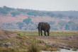 Botswana - Safari Guidé en lodge de Maun à Victoria Falls