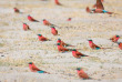 Botswana - Safari guidé en camping version charme (fully serviced) de Maun à Kasane