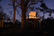 Botswana - Delta de l'Okavango - Wilderness Safaris - Chitabe Camp © Dave Hamman - Retraite romantique