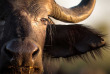 Botswana ©Shutterstock, 2630Ben