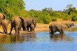 Botswana - Rivière Chobe - Éléphants ©Croisieurope