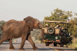 Botswana - Kasane - Chobe Safari Lodge