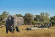 Botswana - Delta de l'Okavango, Khwai ©Natural Selection