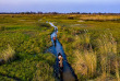 Botswana - Delta de l'Okavango, Khwai ©Natural Selection