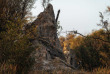 Botswana - Delta de l'Okavango, Khwai ©Natural Selection