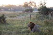 Botswana - Delta de l'Okavango, Khwai ©Natural Selection