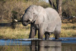 Botswana - Delta de l'Okavango, Khwai ©Natural Selection