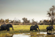 Botswana - Delta de l'Okavango, Khwai ©Natural Selection