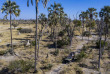 Botswana - Delta de l'Okavango - Gomoti Plains Camp