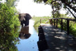 Botswana - Delta de l'Okavango - Shinde