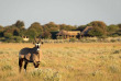 Botswana - Kalahari Plains Camp Wilderness