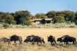 Botswana - Kalahari Plains Camp Wilderness