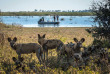 Botswana - Nord Linyanti - Wilderness DumaTau Camp