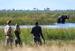 Botswana - Nord Linyanti - Wilderness DumaTau Camp