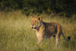 Botswana ©Shutterstock, Mitchell Krog