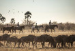 Botswana - Makgadikgadi Pan - Camp Kalahari