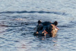 Botswana - Makgadikgadi Pans national Park - Boteti River - Meno  A Kwena