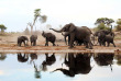 Botswana - Makgadikgadi Pans national Park - Boteti River - Meno  A Kwena