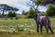 Botswana - Makgadikgadi Pans national Park - Boteti River - Meno  A Kwena