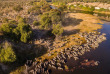 Botswana - Makgadikgadi Pans national Park - Boteti River - Meno  A Kwena