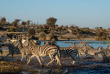 Botswana - Makgadikgadi Pans national Park - Boteti River - Meno  A Kwena