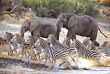 Botswana - Makgadikgadi Pans national Park - Boteti River - Meno  A Kwena