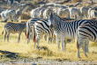 Botswana - Makgadikgadi Pans National Park - Boteti River