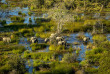 Botswana - Delta de l'Okavango  ©Shutterstock, Suha Derbent