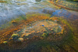 Botswana - Delta de l'Okavango - Camp Okavango