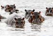 Botswana - Delta de l'Okavango ©Shutterstock, Anton Ivanov