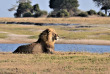 Botswana - Maun-Kasane - Botswana Authentique en français - Safari mobile guidé