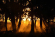 Botswana - Maun-Kasane - Botswana Authentique en français - Safari mobile guidé