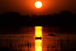 Botswana - Maun-Kasane - Botswana Authentique en français - Safari mobile guidé