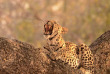 Botswana - Maun-Kasane - Botswana Authentique en français - Safari mobile guidé